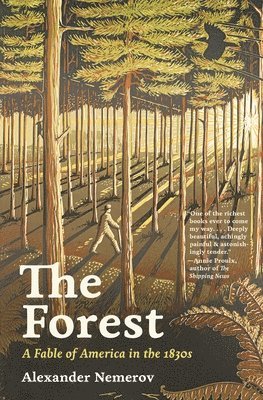 Alexander Nemerov - Forest, Häftad