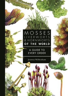 bokomslag Mosses, Liverworts, and Hornworts of the World