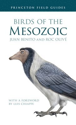 bokomslag Birds Of The Mesozoic