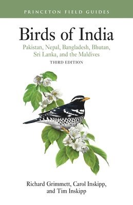 Tim Inskipp, Richard Grimmett, Carol Inskipp - Birds of India, Häftad