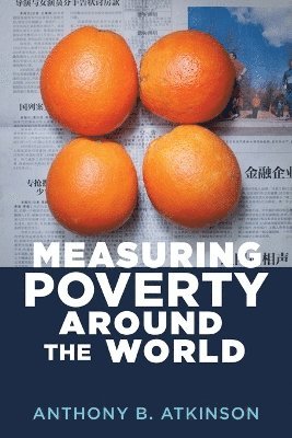 bokomslag Measuring Poverty around the World