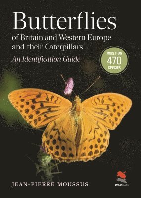 bokomslag Butterflies of Britain and Western Europe and Their Caterpillars
