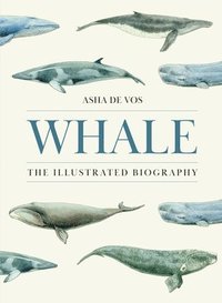 bokomslag Whale