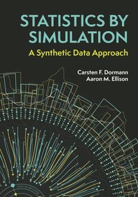 bokomslag Statistics by Simulation