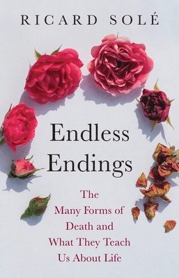 Ricard Solé - Endless Endings, Inbunden