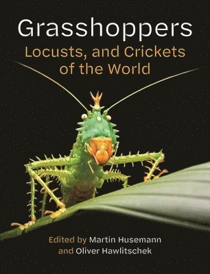 Martin Husemann, Oliver Hawlitschek - Grasshoppers, Locusts, and Crickets of the World, Inbunden
