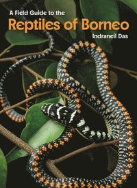 bokomslag A Field Guide to the Reptiles of Borneo