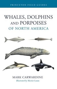 bokomslag Whales, Dolphins, and Porpoises of North America