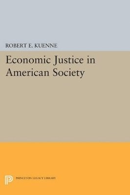 bokomslag Economic Justice in American Society