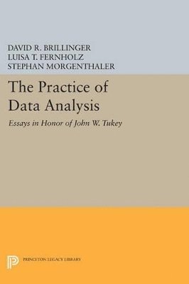 David R. Brillinger, Luisa T. Fernholz, Stephan Morgenthaler - Practice of Data Analysis, Häftad