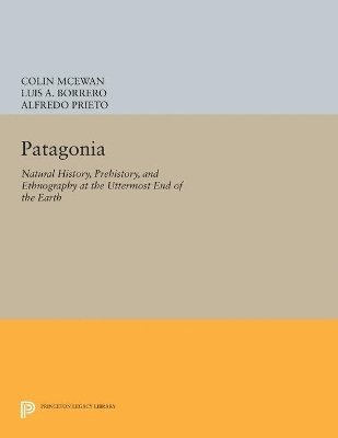 Patagonia 1