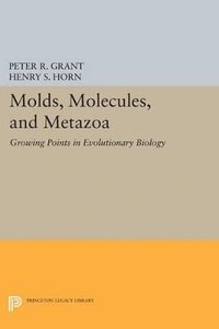 bokomslag Molds, Molecules, and Metazoa