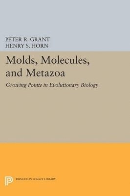 bokomslag Molds, Molecules, and Metazoa