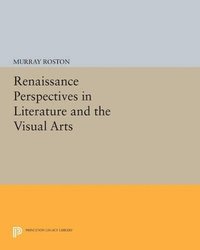 bokomslag Renaissance Perspectives in Literature and the Visual Arts