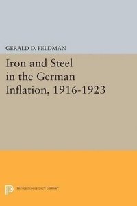 bokomslag Iron and Steel in the German Inflation, 1916-1923