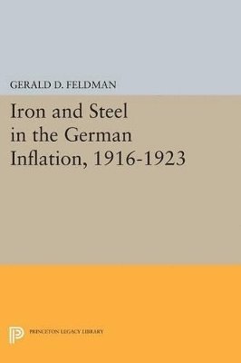 Gerald D. Feldman - Iron and Steel in the German Inflation, 1916-1923, Häftad