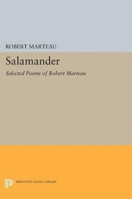 bokomslag Salamander