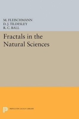 Fractals in the Natural Sciences 1