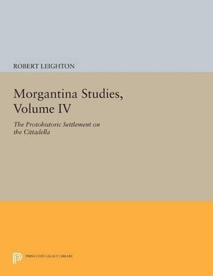 bokomslag Morgantina Studies, Volume IV