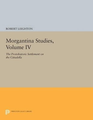 Morgantina Studies, Volume IV 1