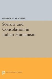 bokomslag Sorrow and Consolation in Italian Humanism