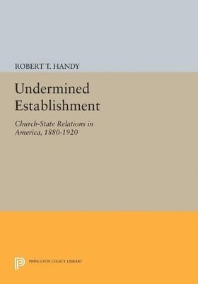 bokomslag Undermined Establishment