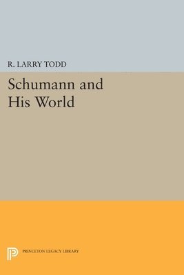 bokomslag Schumann and His World