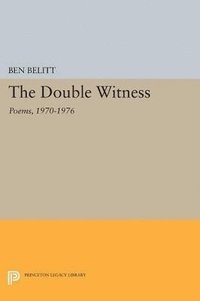 bokomslag The Double Witness