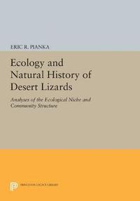 bokomslag Ecology and Natural History of Desert Lizards