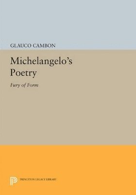 bokomslag Michelangelo's Poetry