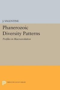 bokomslag Phanerozoic Diversity Patterns