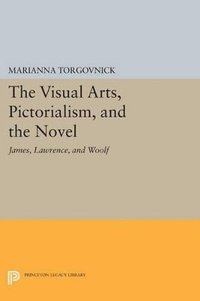 bokomslag The Visual Arts, Pictorialism, and the Novel