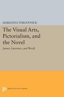 bokomslag The Visual Arts, Pictorialism, and the Novel