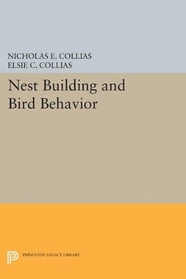 bokomslag Nest Building and Bird Behavior