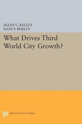 Allen C. Kelley, Nancy Burley - What Drives Third World City Growth?, Häftad
