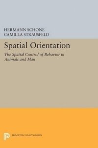 bokomslag Spatial Orientation