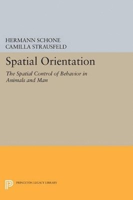 bokomslag Spatial Orientation