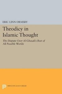 bokomslag Theodicy in Islamic Thought