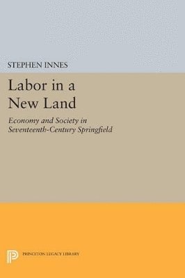 Labor in a New Land 1