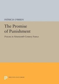 bokomslag The Promise of Punishment