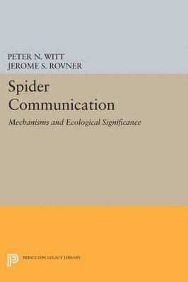 Spider Communication 1