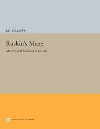 bokomslag Ruskin's Maze