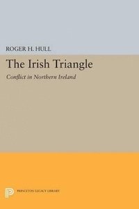 bokomslag The Irish Triangle