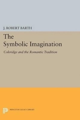 Symbolic Imagination