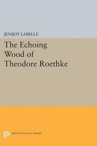 bokomslag The Echoing Wood of Theodore Roethke