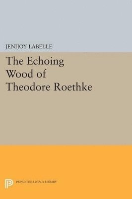 bokomslag The Echoing Wood of Theodore Roethke