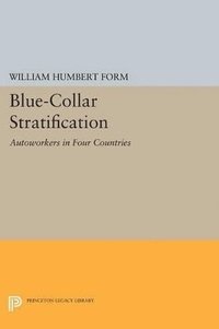 bokomslag Blue-Collar Stratification