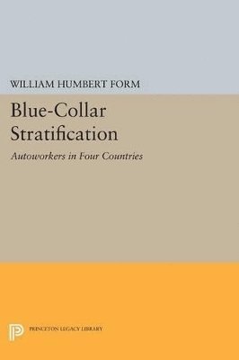 bokomslag Blue-Collar Stratification