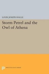 bokomslag Storm Petrel and the Owl of Athena