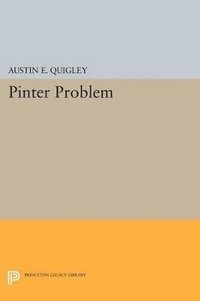bokomslag Pinter Problem